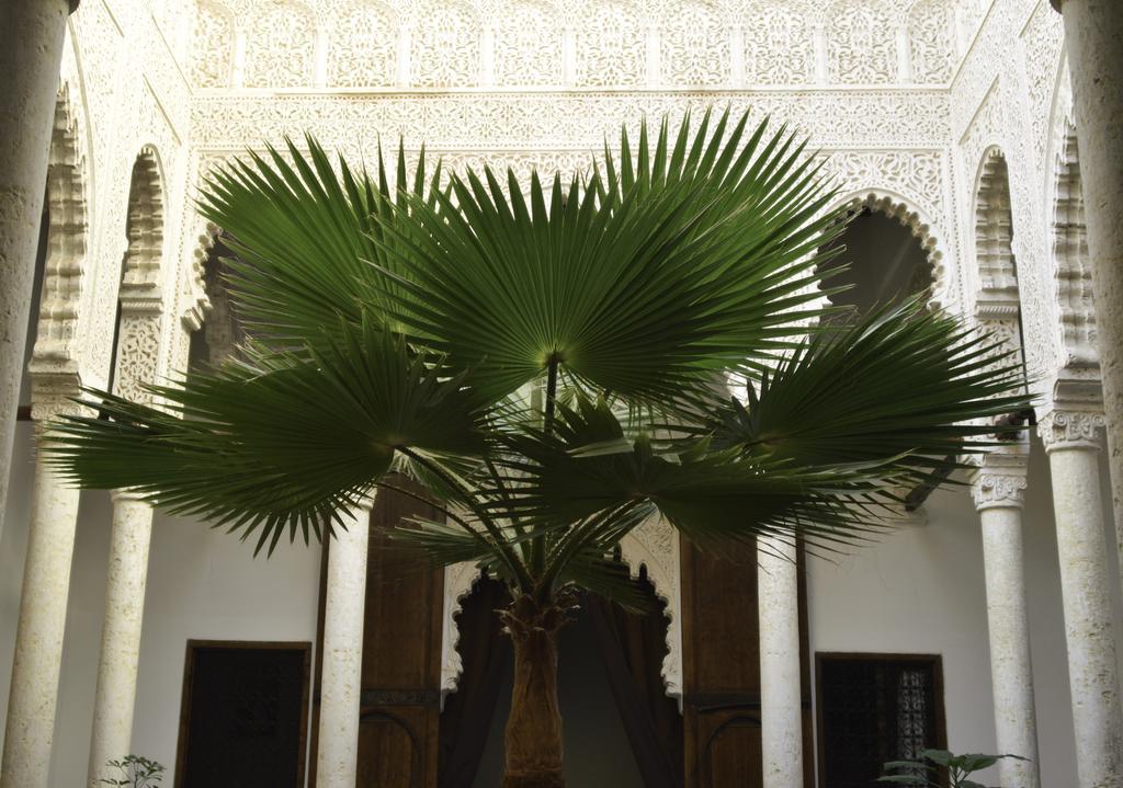 Riad Azahra Rabat Luaran gambar
